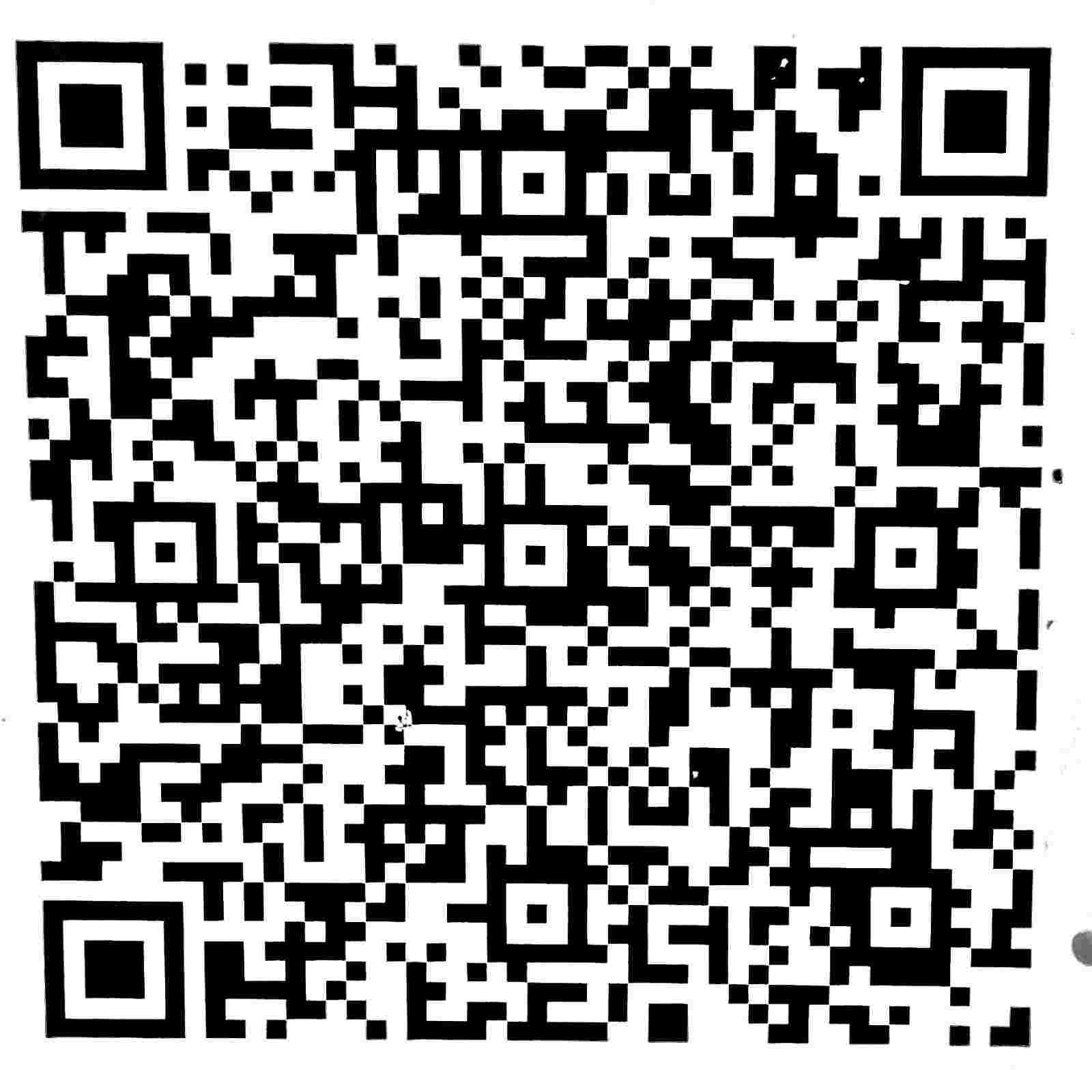 Bank payment QR code